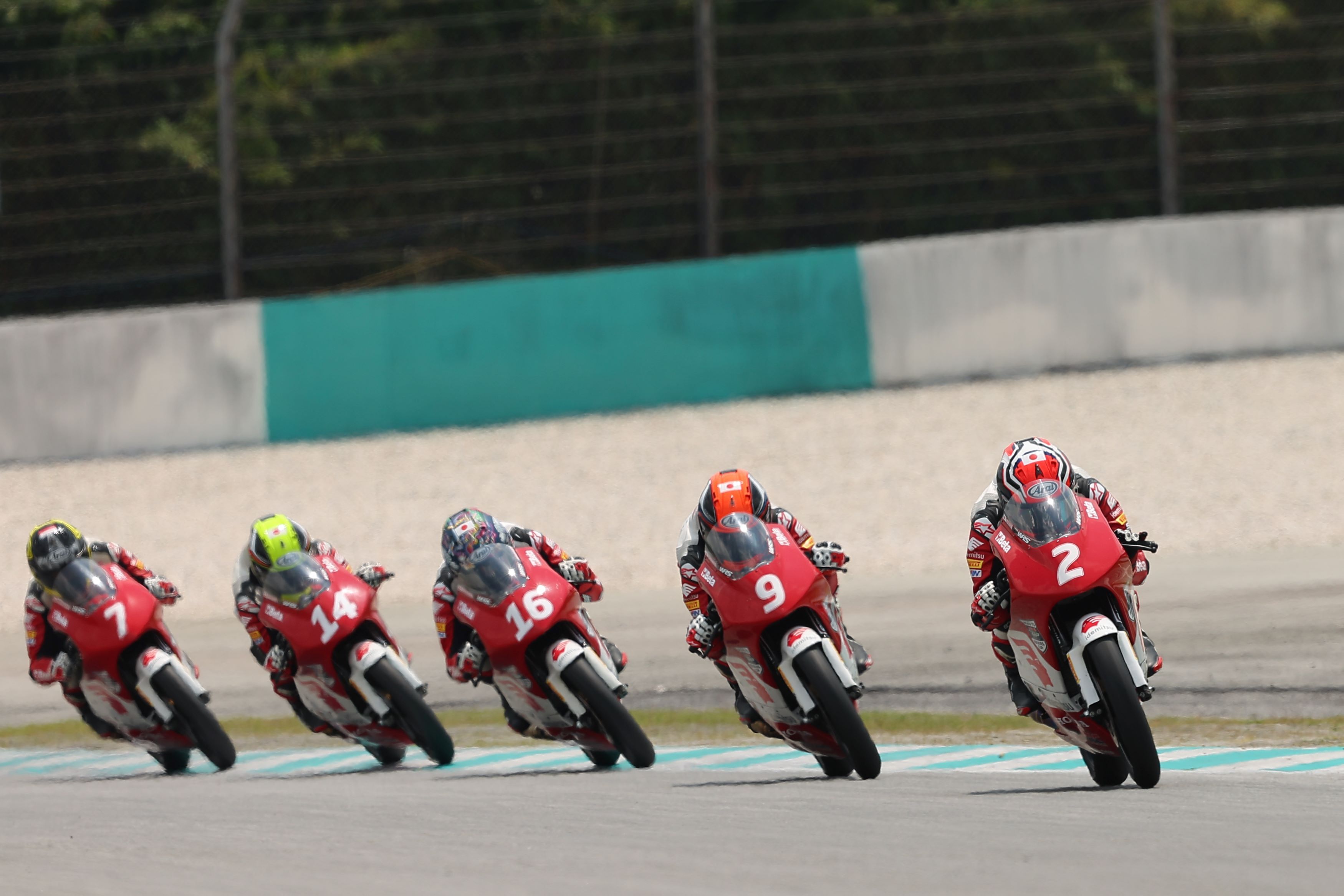 Race 1 | Round 2 Sepang | 2024 Idemitsu Asia Talent Cup